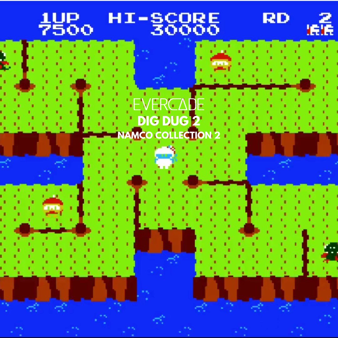 Preview Dig Dug II