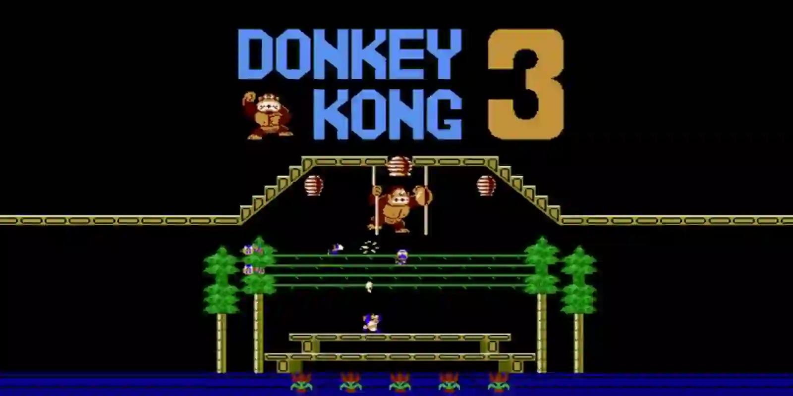 cover Donkey Kong 3