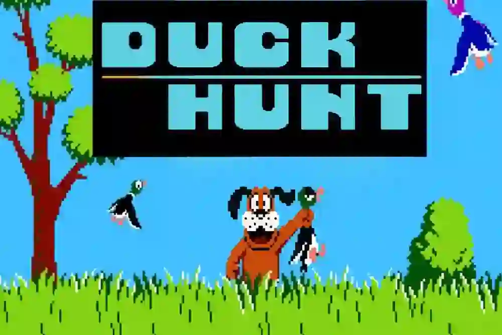 cover Duck Hunt