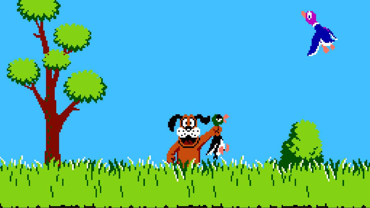 Preview Duck Hunt