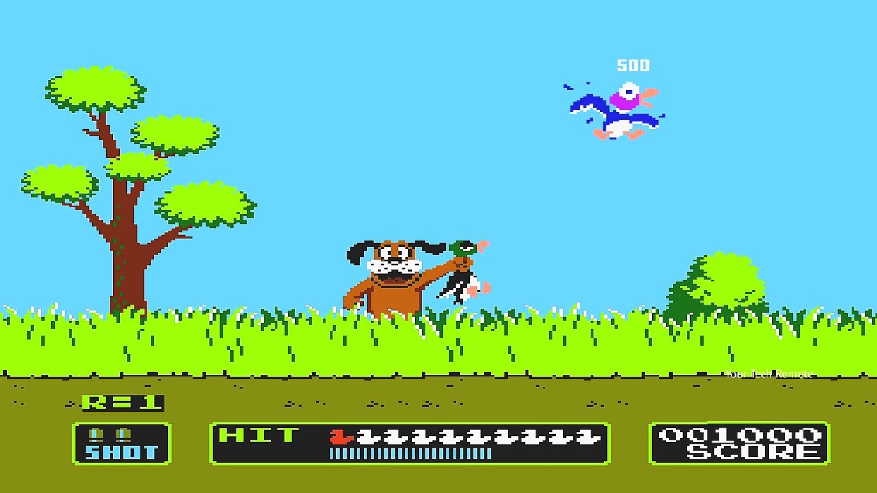 Preview Duck Hunt