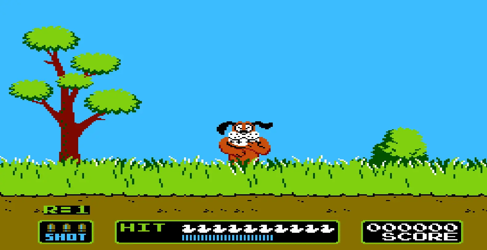 Preview Duck Hunt