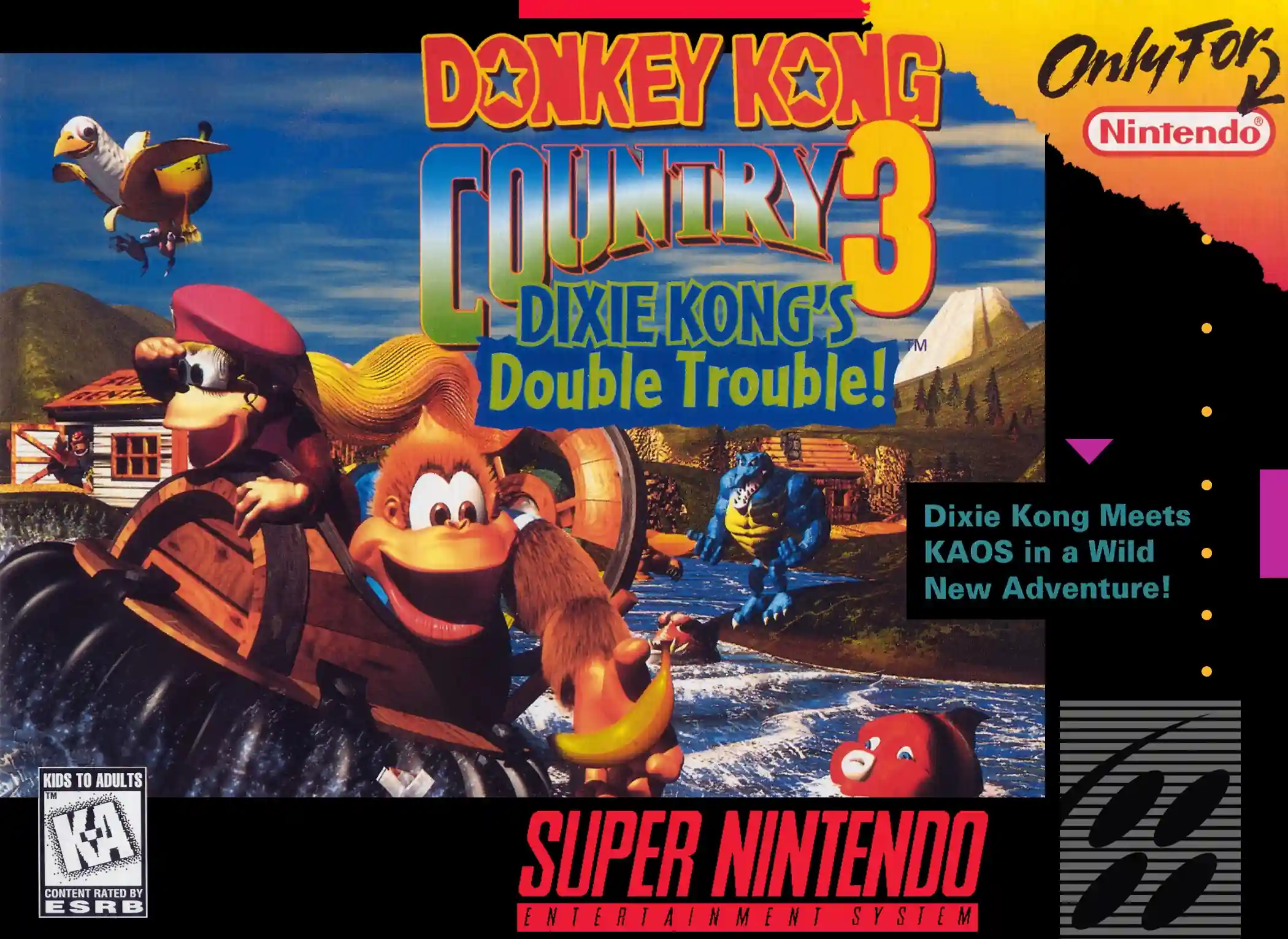 cover Donkey Kong Country 3